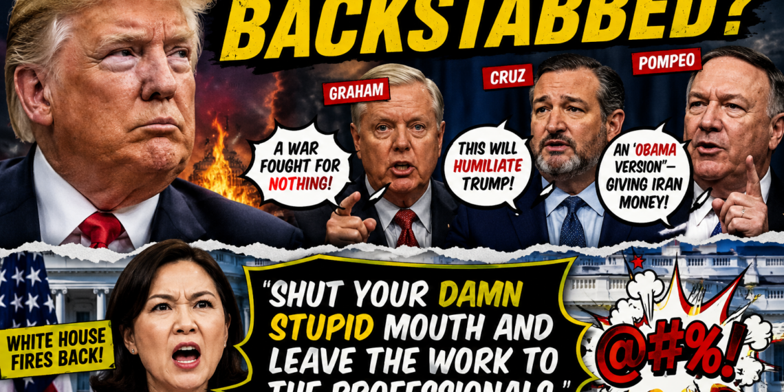 Did Trump Just Get “Backstabbed”? When Loyal Fans Suddenly Turned Into Critics, the White House Fired Back With a Verbal Explosion