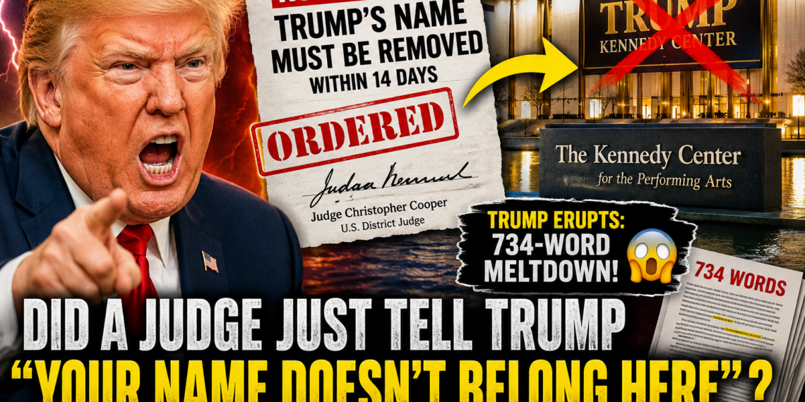 Trump Storm: Court Orders and Furious Reactions